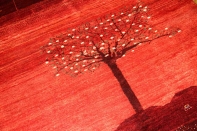 高品質イラン製赤いメリノウールギャッベ手織りペルシャギャッベ19219