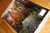 じゅうたん紅葉の風景、自然景色のペルシャ50102