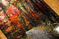 じゅうたん紅葉の風景、自然景色のペルシャ50102