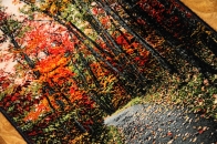 じゅうたん紅葉の風景、自然景色のペルシャ50102