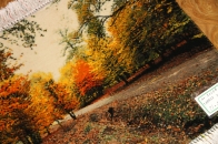 紅葉絨毯、秋の風景タペストリーペルシャ絨毯50104