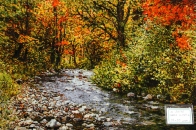 森の風景と川のピクチャー手織りタブリーズ絨毯50106