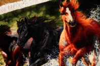 タブリズの馬のピクチャー手織りペルシャ55350