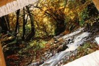 川の風景のピクチャー模様手織りペルシャ絨毯50105