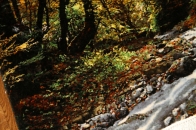 川の風景のピクチャー模様手織りペルシャ絨毯50105