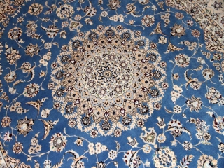 トップクオリティーナイン6LAハビビアン工房57043