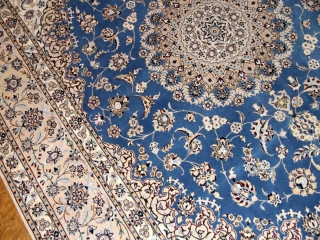 トップクオリティーナイン6LAハビビアン工房57043