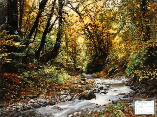 川の風景のピクチャー模様手織りペルシャ絨毯50105