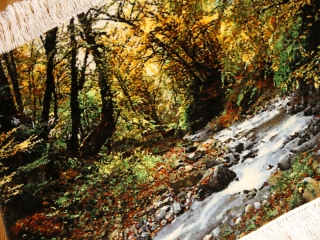 川の風景のピクチャー模様手織りペルシャ絨毯50105