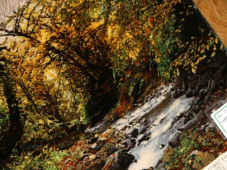 川の風景のピクチャー模様手織りペルシャ絨毯50105