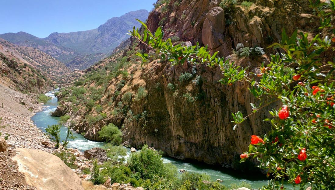 キリムの産地セネ