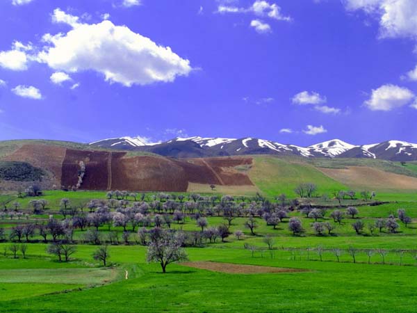 kurdestan-1